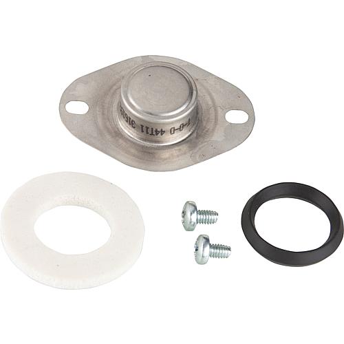 Abgassensor, passend für Buderus/Sieger: GB 122/132/152