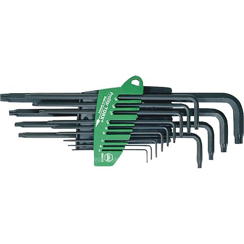 Torx®-Stiftschlüssel-Set im ProStar Halter, 13-teilig