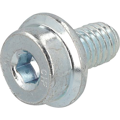 Sperrzahnschraube M6x10