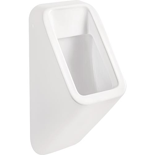Urinal Fusion