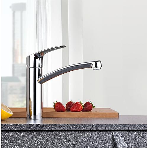 Spültischmischer Focus