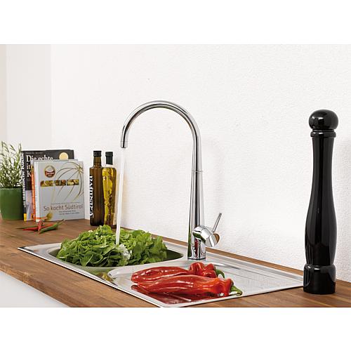 Spültischmischer Design