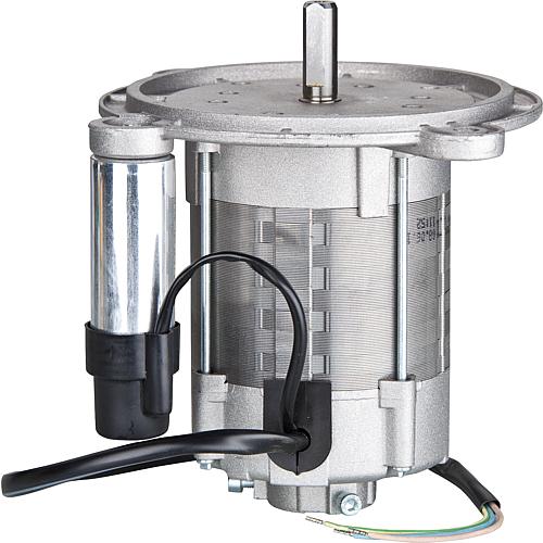 Motor, passend für Golling: GLZ 200