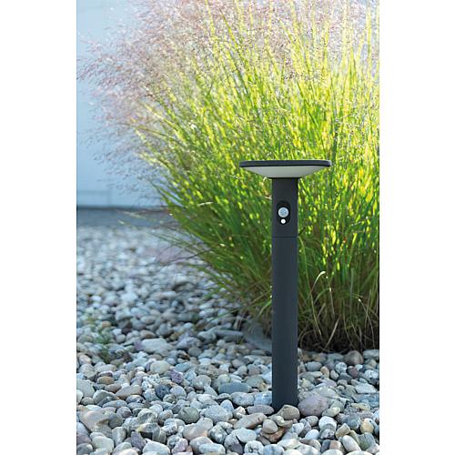 Solar-LED-Stand-Außenleuchte Karina