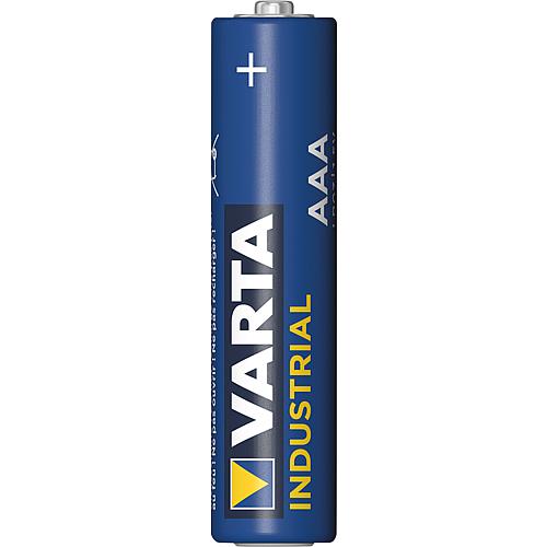 VARTA INDUSTRIAL Alkaline Batterie, MICRO, AAA