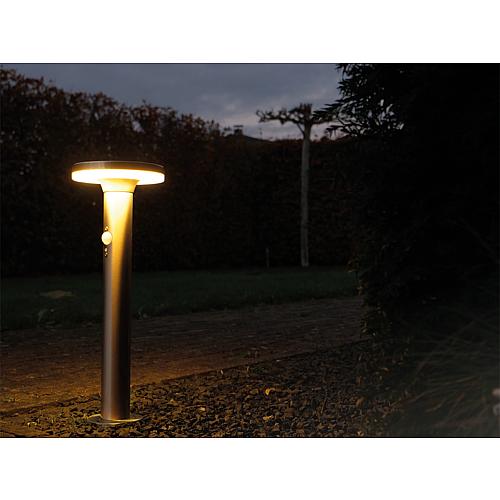 Solar-LED-Standleuchte 563