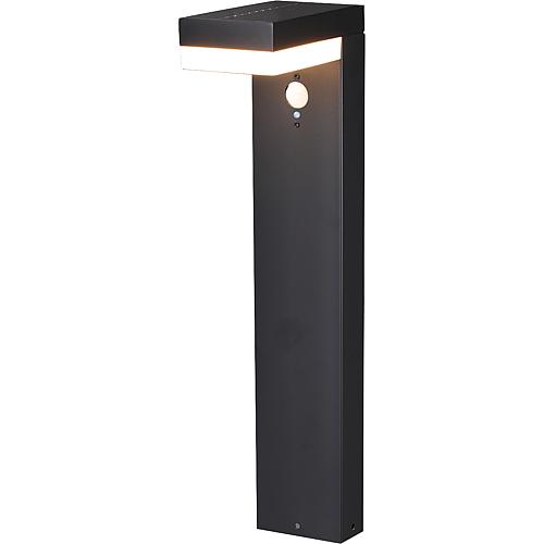 Solar-LED-Standleuchte 561