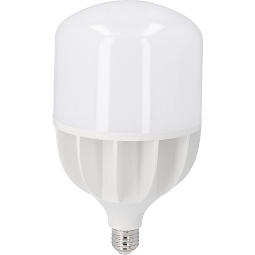 LED-Leuchtmittel RETROFITnut