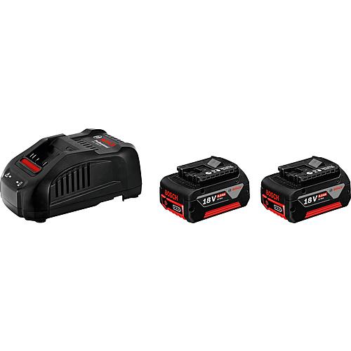 Akku-Set 18 V, 2 x 5,0 Ah Li-Ion Akkus und Ladegerät