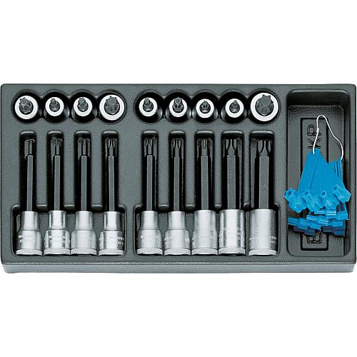 Satz Schraubendreher-Einsätze 1/2" 1500 ES-ITX 19 LKP, in 1/3 Modul, 19-teilig