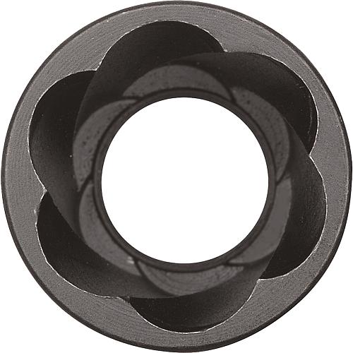 Ausdrehersatz 1/2", 10-teilig