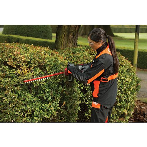 Akku-Heckenschere HT255, 36 V