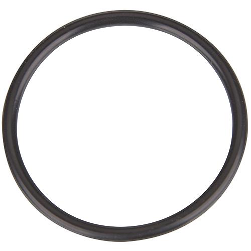 Ersatz Pumpenkopf O-Ring