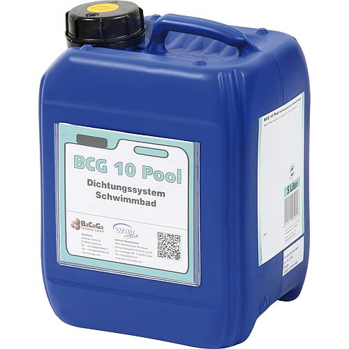 Flüssigdichter BCG 10 Pool