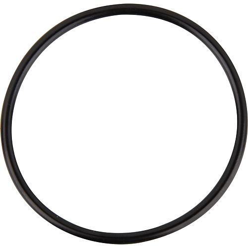 Flansch O-Ring