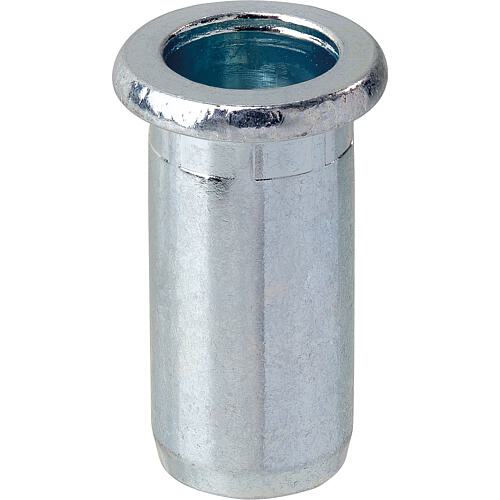 Blindnietmuttern GESIPA PolyGrip, Stahl, VPE