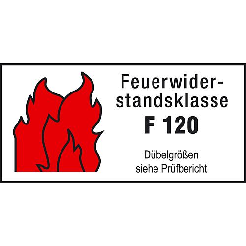 fischer Nagelanker FNA II mit Gewinde und Flanschmutter