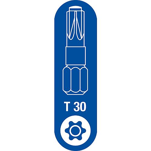 SPAX®-BIT T-Star plus T 30