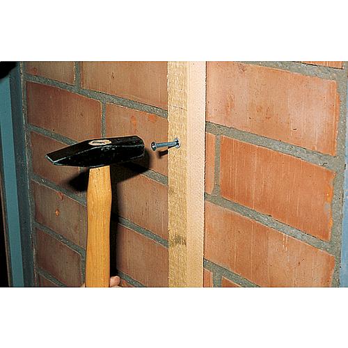 fischer Nageldübel N-S verzinkt, 6,0