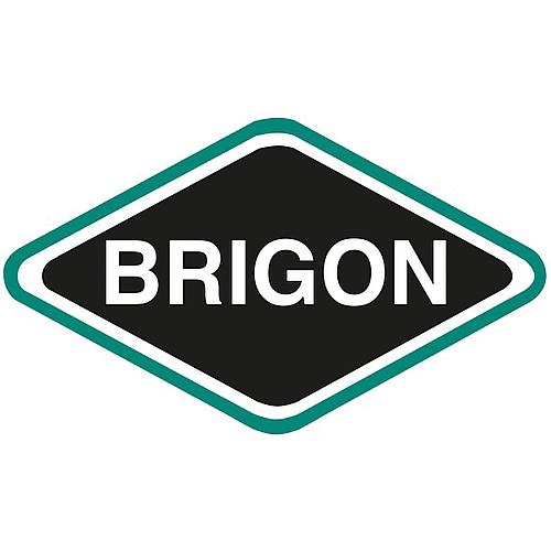 Brigon CO2-Indikatoren Testoryt