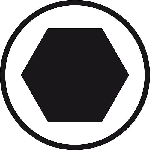 Quergriff-Sechskant-Schraubendreher-Set WERA, Hex-Plus, zöllig, langer und kurzer Schenkel, 10-teilig