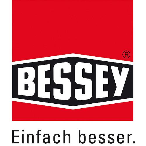 Mehrzweckschere BESSEY® D48-2 gerade Form